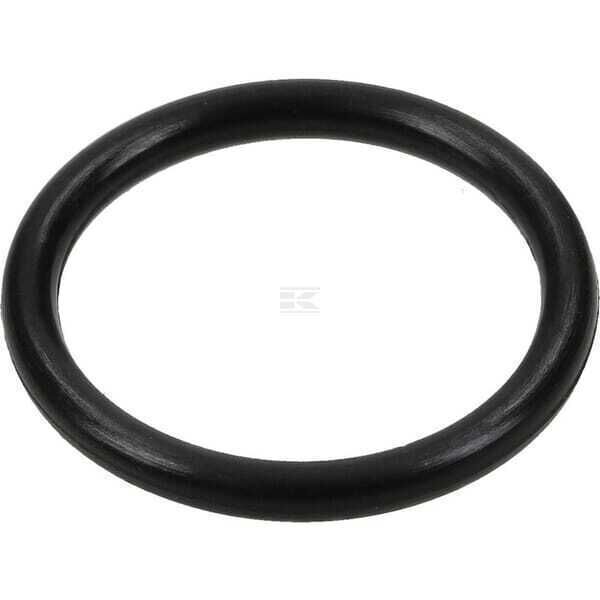 Kit-O-Ring - 317843GS - Briggs & Stratton