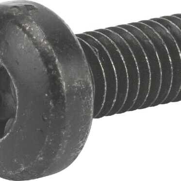 Castelgarden Śruby OE - 1127278070 - Wkręt TCB Torx M6x16 mm