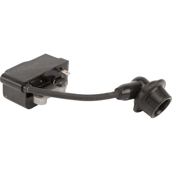 Castelgarden  - 1188064900 - Ignition coil and fywheel assembly (HT Zj)