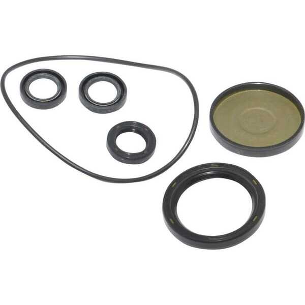 BS Zestawy uszczelek Briggs & Stratton - 202B2126GS - Zestaw uszczelek