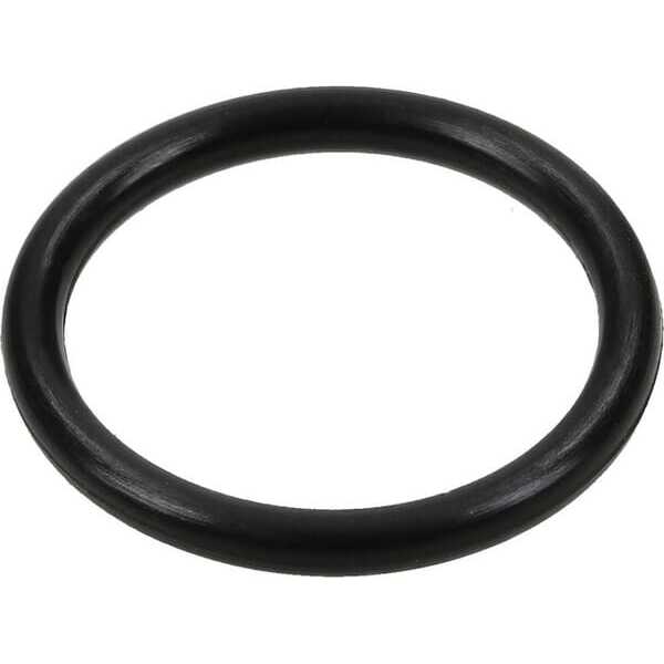 BS Pierścienie uszczelniające o-ring Briggs & Stratton - 314482GS - O-ring