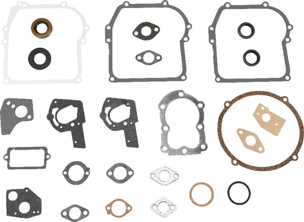 BS  - 495602 - Gasket Set-Engine